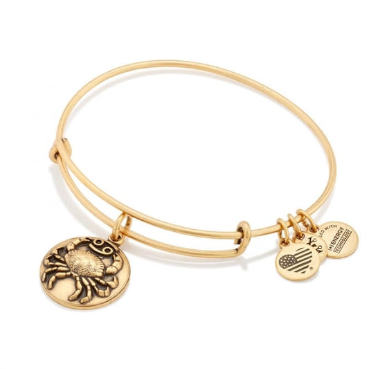 Cancer Charm Bangle