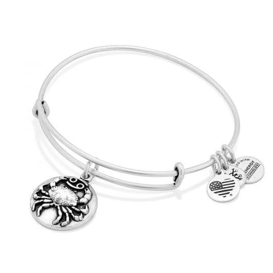 Cancer Charm Bangle