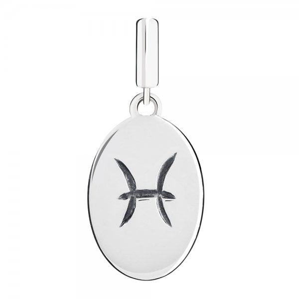 Pisces Hanging Charm
