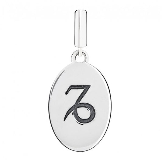 Capricorn Hanging Charm