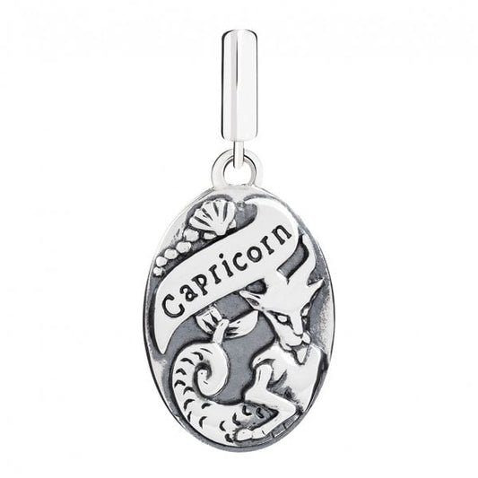 Capricorn Hanging Charm