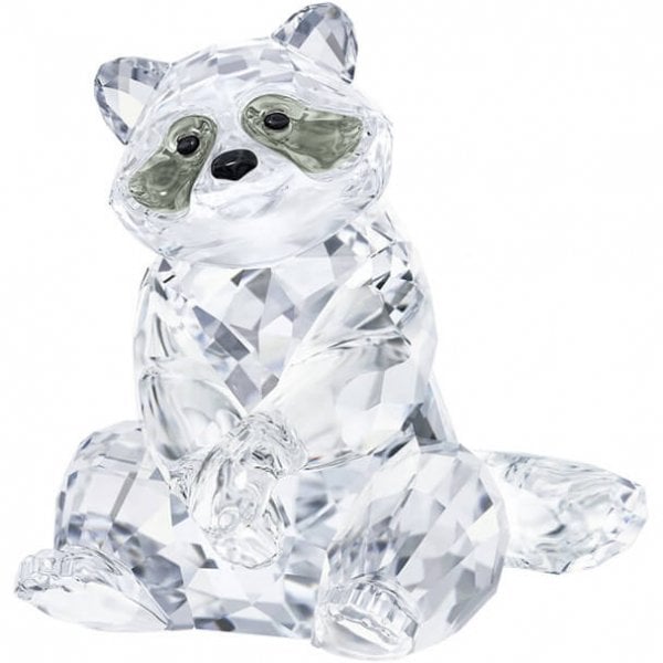 RACCOON