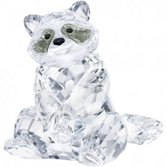 RACCOON