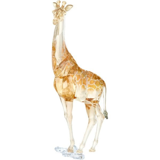 SCS ANNUAL EDITION 2018 GIRAFF