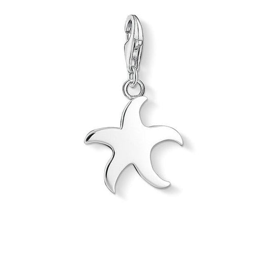 Silver Starfish