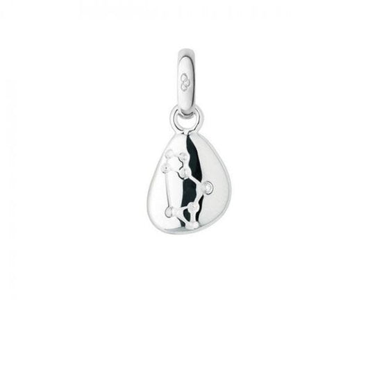Zodiac Pebble Sagittarius Charm