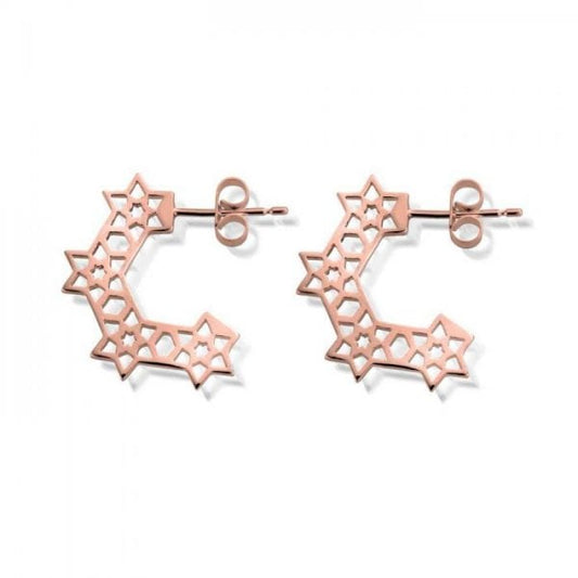 Inner Spirit RG Earring