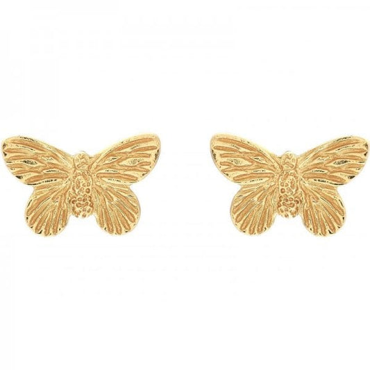 3D Butterfly Stud Earrings Gold