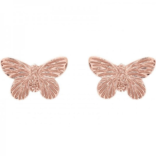 3D Butterfly Stud Earrings Rose Gold