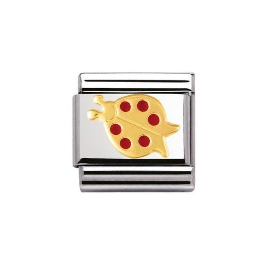 Gold and Red Ladybird Charm