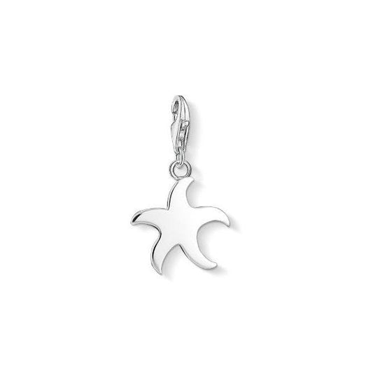 Silver Starfish