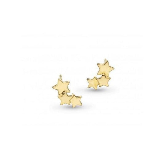 18ct YGP Stargazer