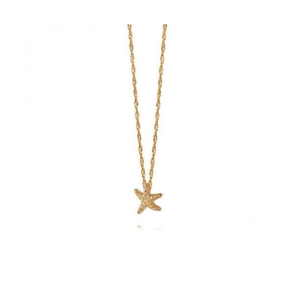 GP Isla Starfish NeckLace 20"