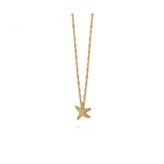 GP Isla Starfish NeckLace 20"