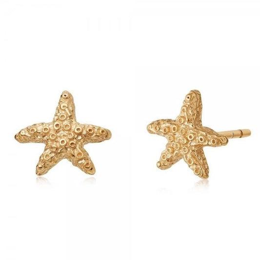 YGP Starfish Stud Earrings