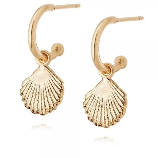 YGP Isla Clam Earrings