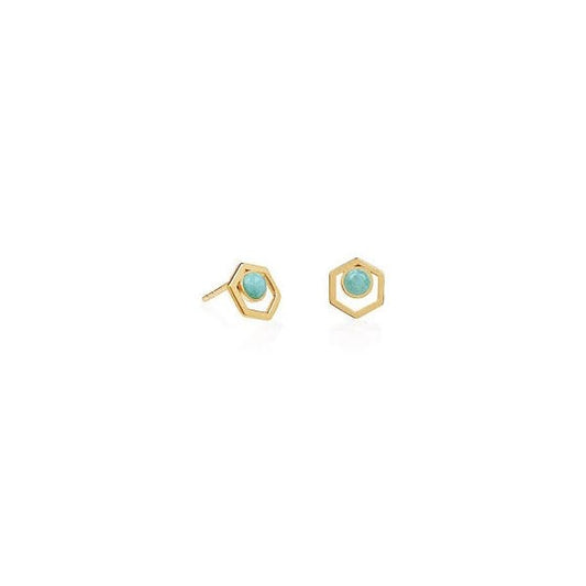 Gold Amazonite Healing Earrings