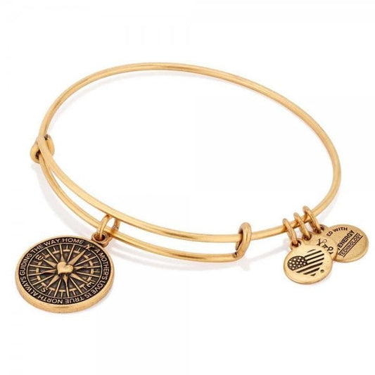 Alex & Ani Path of Symbols True Direction Bangle