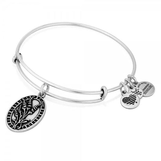 Aunt Charm Bangle Silver