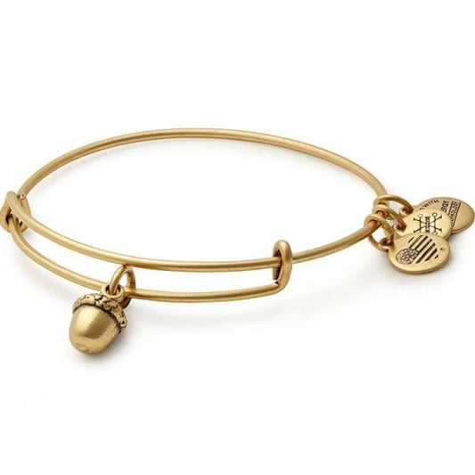 Alex & Ani Path of Symbols Blessings Gold Bangle