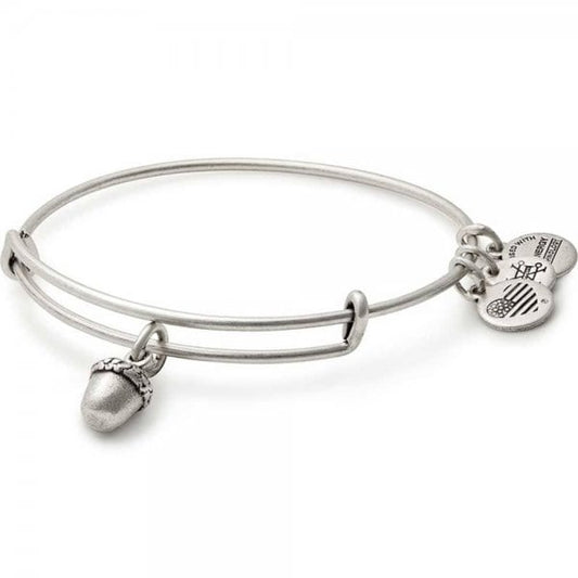 Alex & Ani Unexpected Blessings Silver Bangle