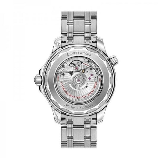 Seamaster Diver 300m Coaxial Black Dial