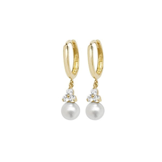 9ct Yellow Gold Drop Earrings