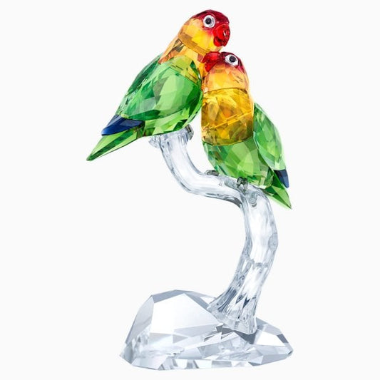LOVEBIRDS