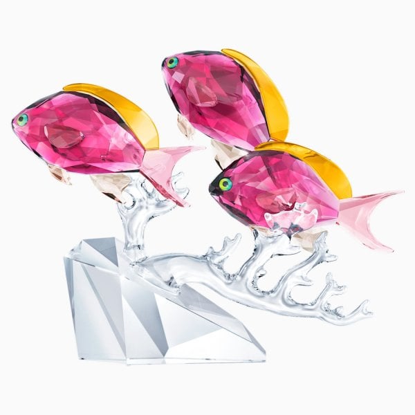 ANTHIAS FISH TRIO