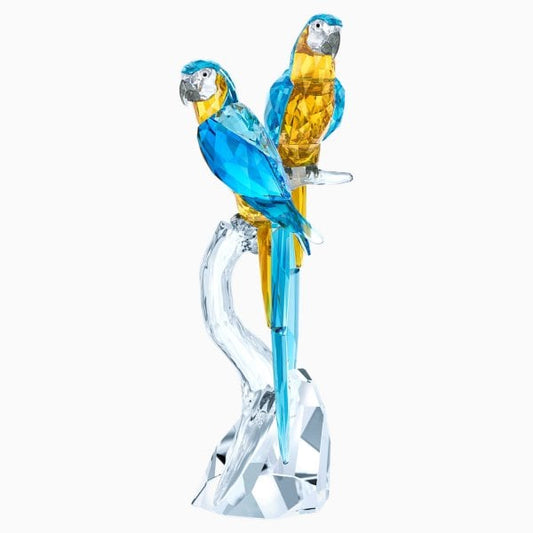 Macaws