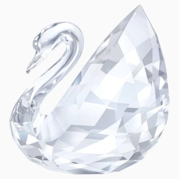 SWAN, LARGE