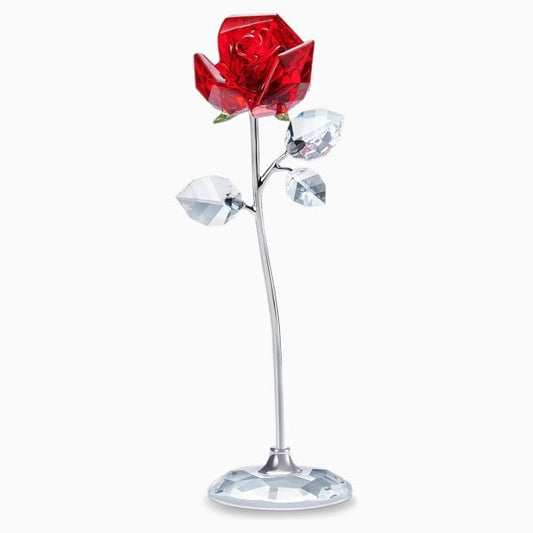 Large Red Rose – Flower Dreams