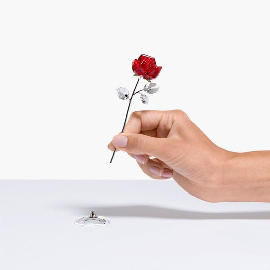 Large Red Rose – Flower Dreams