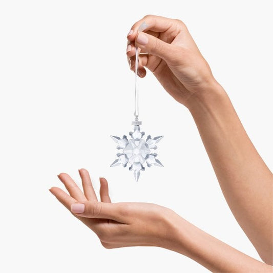 Annual Edition Ornament 2020