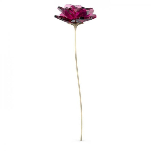 Garden Tales Rose