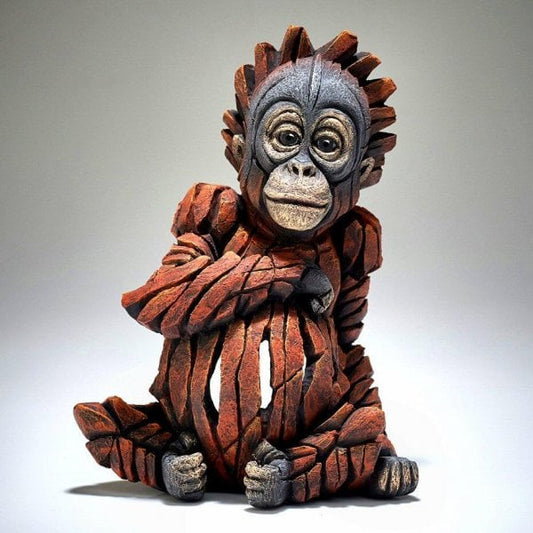Baby Orangutan