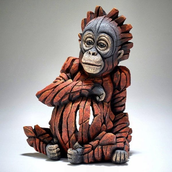 Baby Orangutan