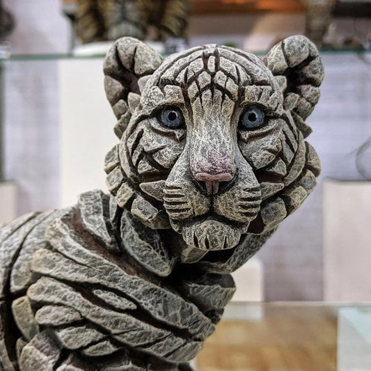 Tiger Cub - Siberian