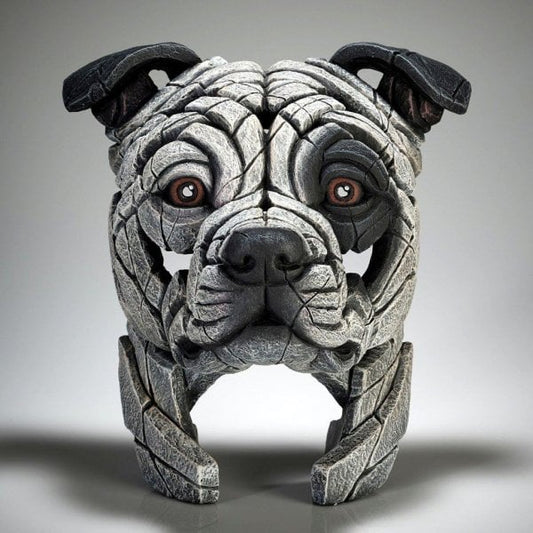 Staffordshire Bull Terrier - Patch