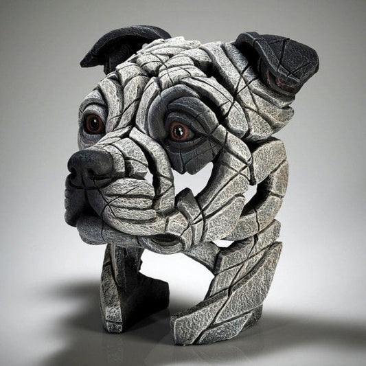 Staffordshire Bull Terrier - Patch