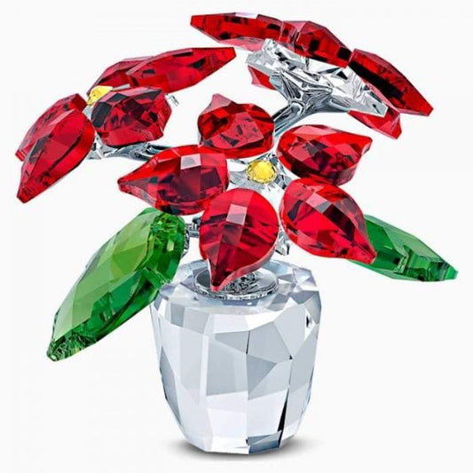 Joyful: Poinsettia