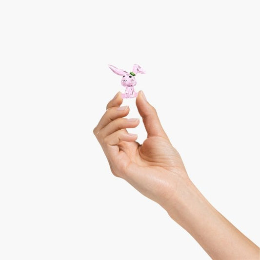 Lucky Rabbit