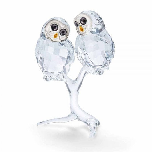 Feathered Beauties: Owl Couple