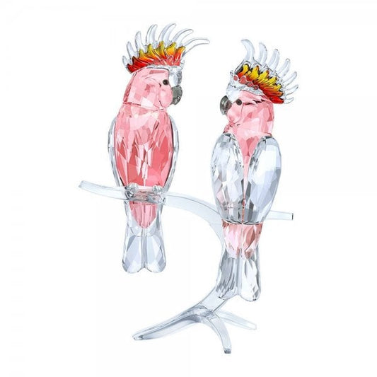 PINK COCKATOOS