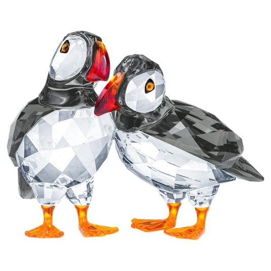 Feathered Beauties: Atlantic Puffins