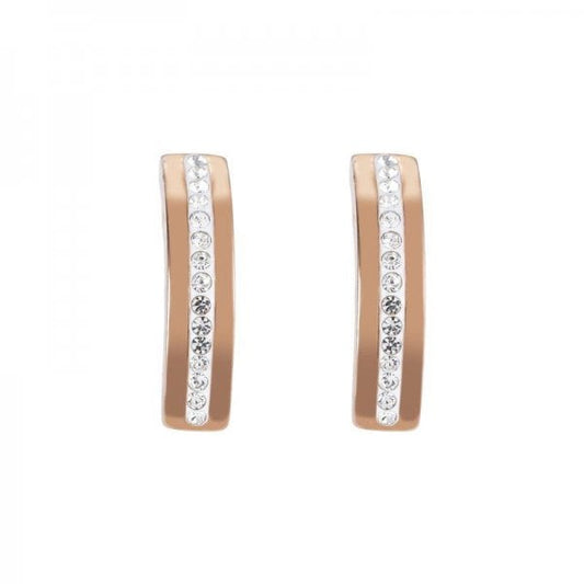 Crystal Earrings