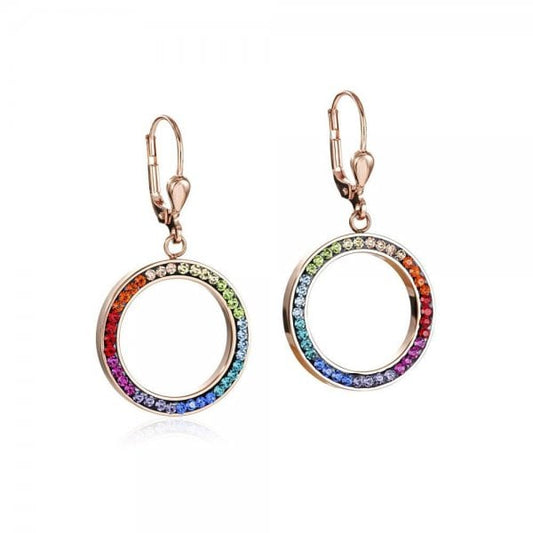 Multicolour Earrings
