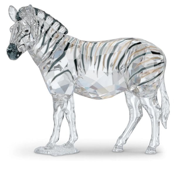 Elegance of Africa SCS Annual Edition 2021 Zebra