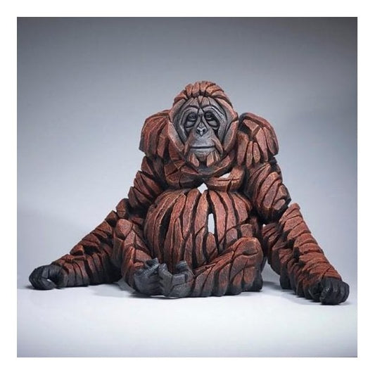 Orangutan