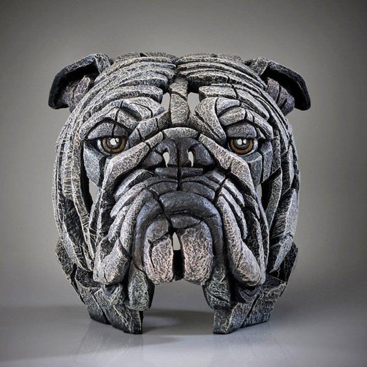 Bulldog Bust White
